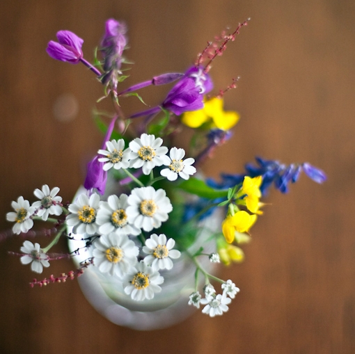 繁花点点 偶遇小清新图片