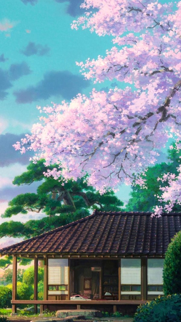 二货，我还爱你你造吗