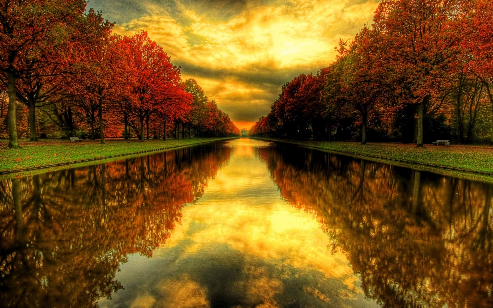 美丽的秋天迷人落叶天空风景图片桌面壁纸高清