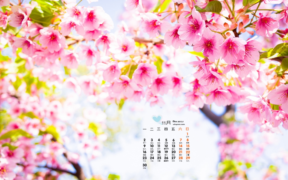2015年11月日历唯美桃花高清桌面壁纸下载