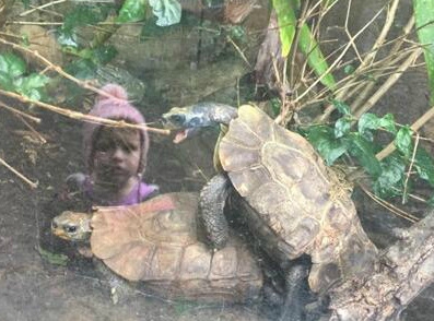 快走开，看什么看啊