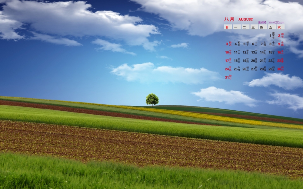 2014年8月日历桌面护眼壁纸美丽的绿色草原风光