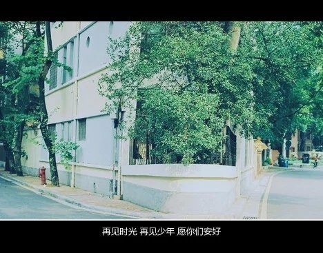 ：因为成长 我们说散就散