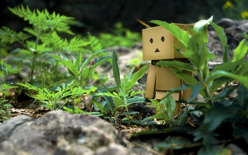 纸箱人阿楞Danboard桌面壁纸