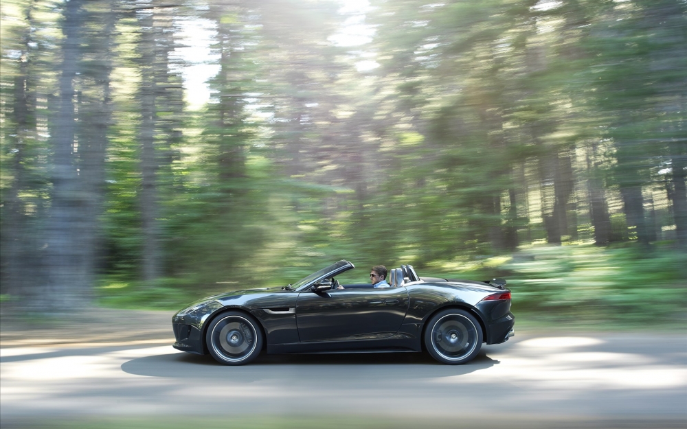 Jaguar 捷豹 F-Type 2014