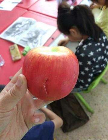 傻老婆以为是真的还有了口