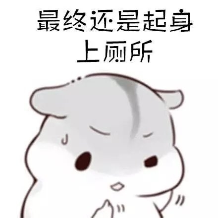 睡觉前必须上个厕所，必要的时候上两个