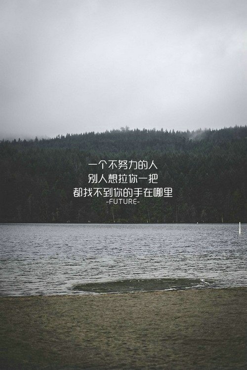 动了心，怎么可能不留情