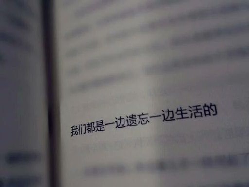 喜三岁：饮了这杯风尘酿的酒我们就从头来过吧.