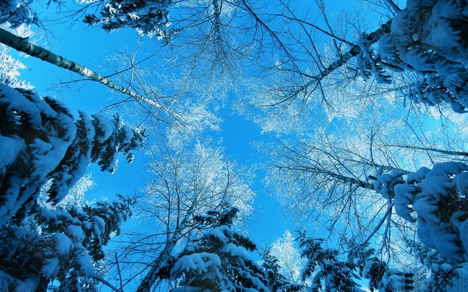 大自然完美高清雪景壁纸