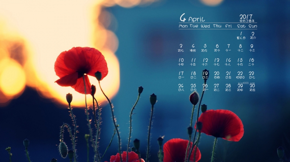 2017年4月唯美的花卉桌面日历壁纸