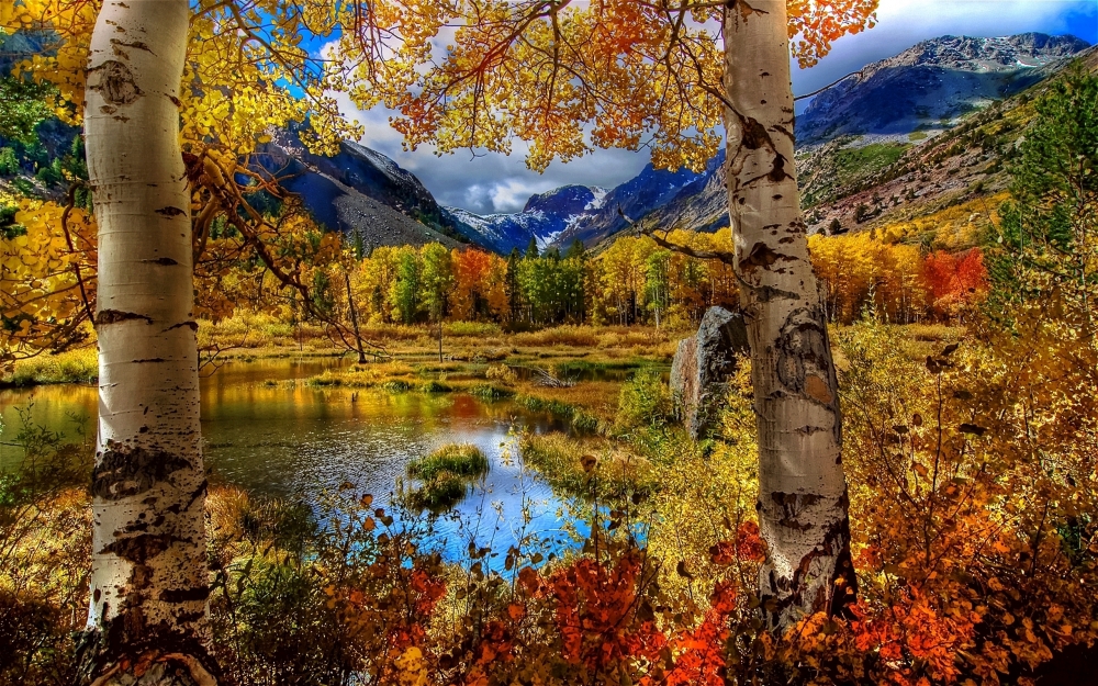 秋季美丽风景壁纸