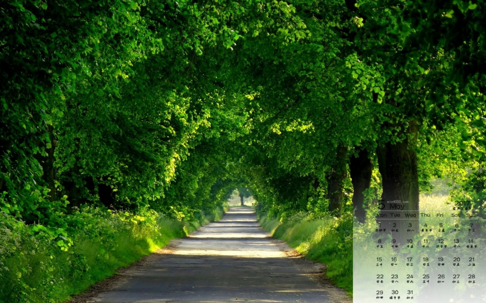 2017年5月林间小径唯美清新护眼高清日历壁纸