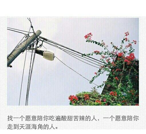 风继续吹 有心的人一追再追