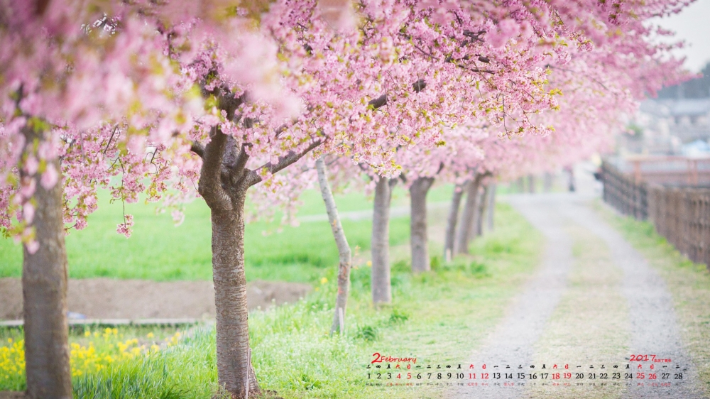 2017年2月治愈系风景日历壁纸