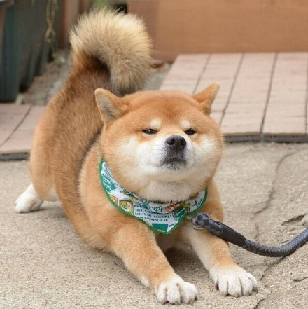 超级可爱的你
