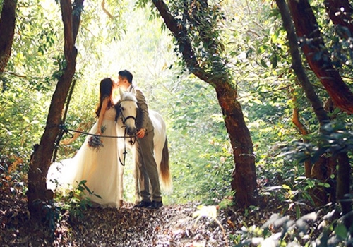 令人心醉的唯美婚纱情侣图片