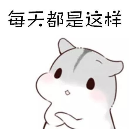 睡觉前必须上个厕所，必要的时候上两个