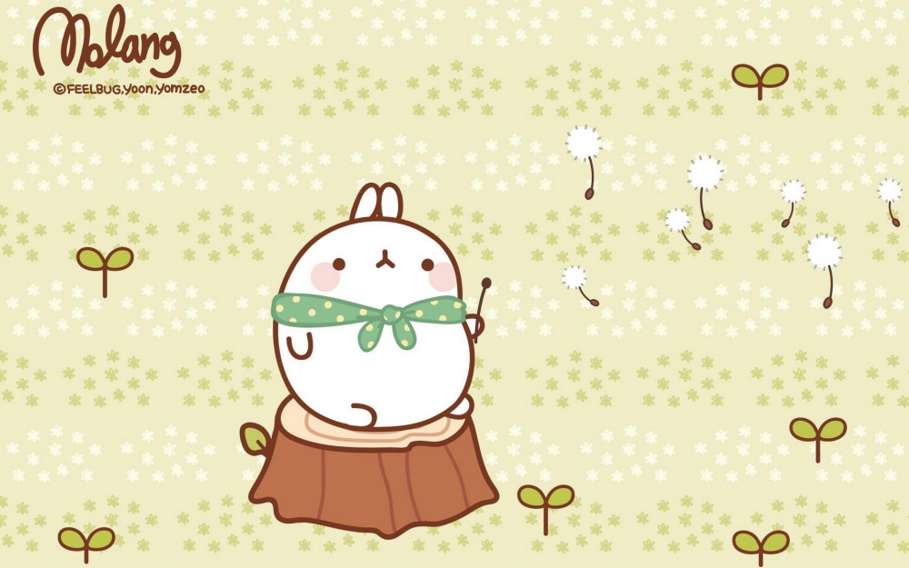 MOLANG 韩国远道而来的可爱的兔子