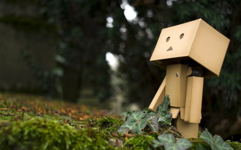纸箱人阿楞Danboard桌面壁纸