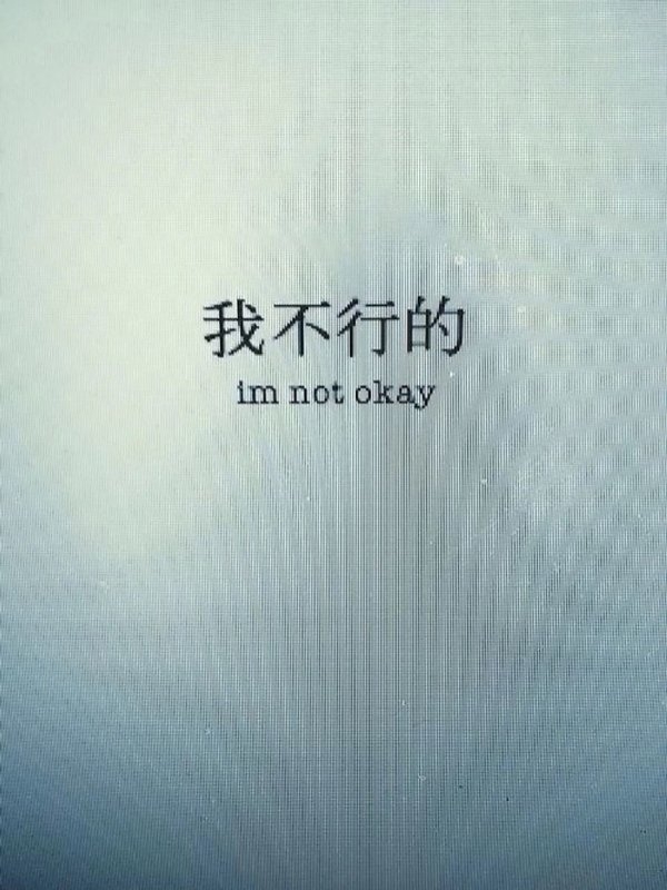 你不必张扬  是花自然香