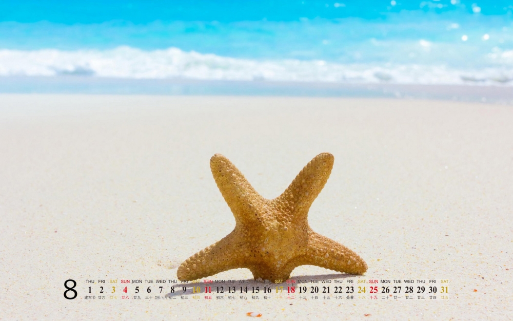 2013年静物唯美8月日历唯美桌面壁纸