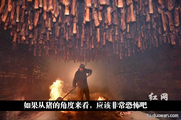 把腊肉挂那么高，烘焙的时候油很容易滴到头上吧