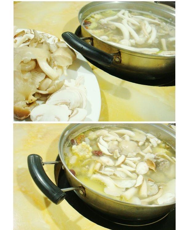 与菇有关的真菌美味大餐