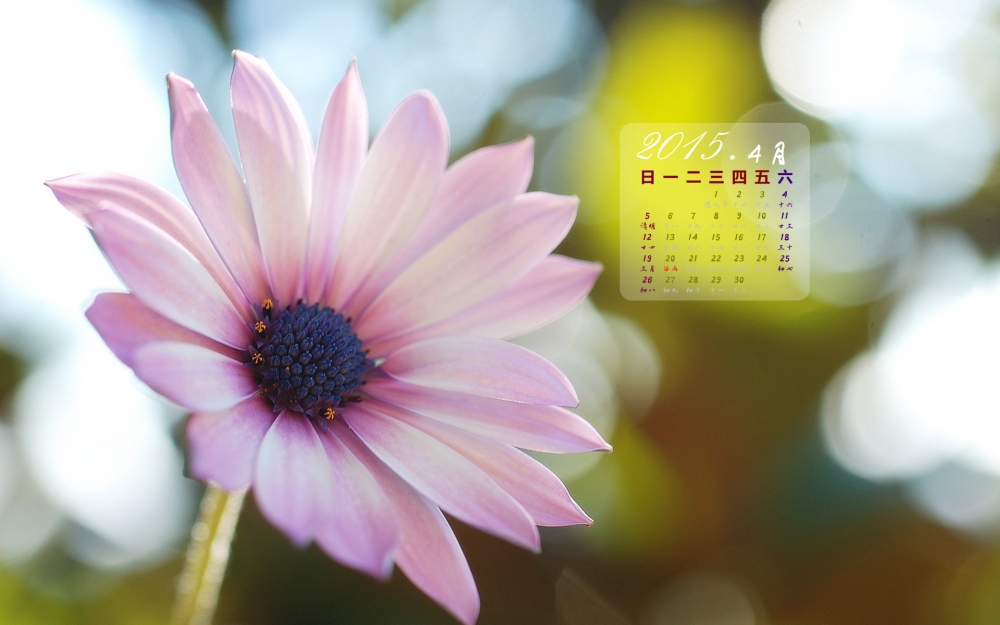 2015年4月小清新花卉日历壁纸