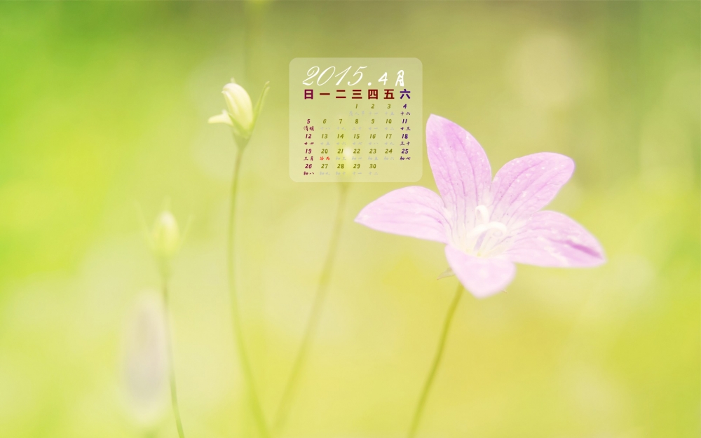2015年4月小清新花卉日历壁纸