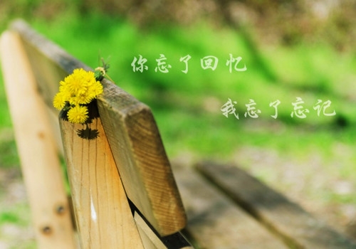 治愈系文字图片 治愈系小清新文字素材
