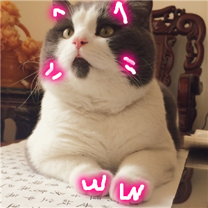 怀中猫.