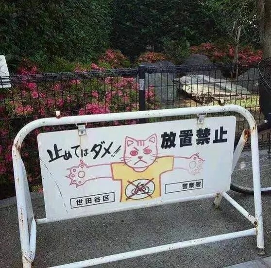 你不必张扬  是花自然香