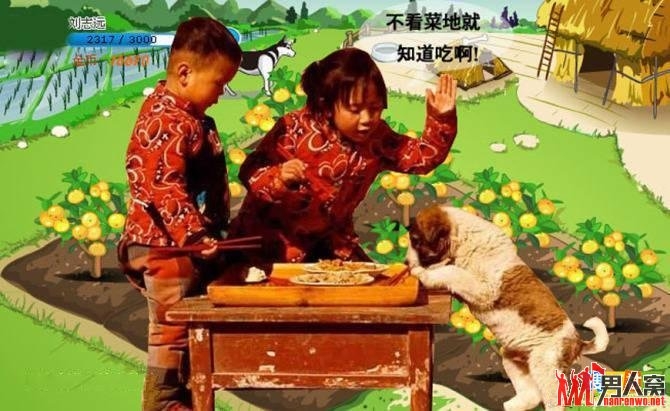 疯狂的偷菜人生，爆笑【组图】