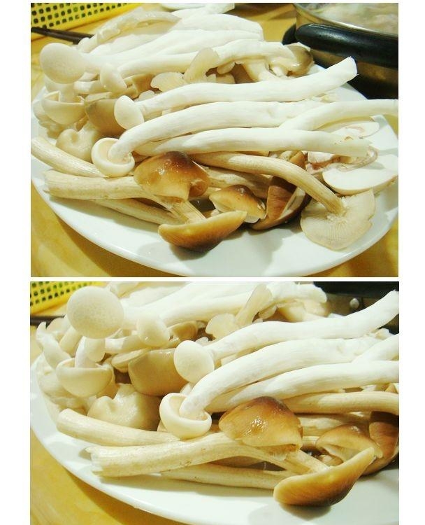 与菇有关的真菌美味大餐