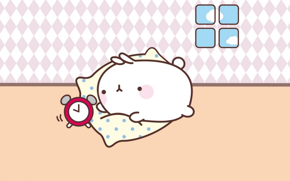 MOLANG 韩国远道而来的可爱的兔子