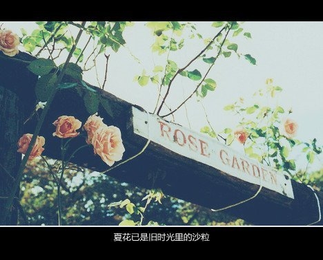 我没有难过，就是不快乐