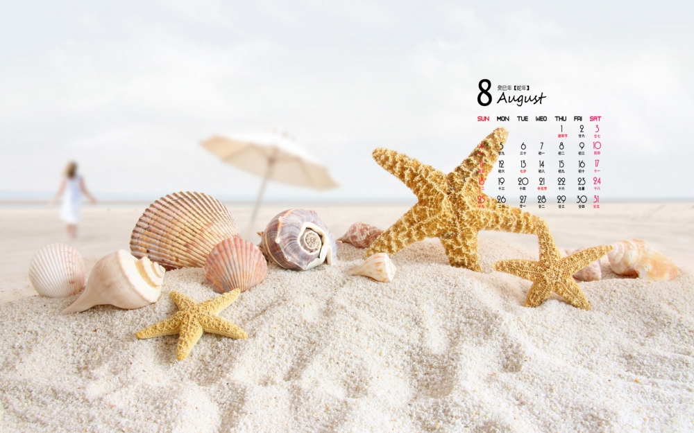 2013年静物唯美8月日历唯美桌面壁纸
