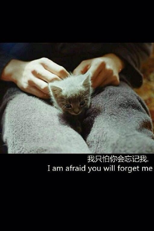 趁爱不深，赶紧放手