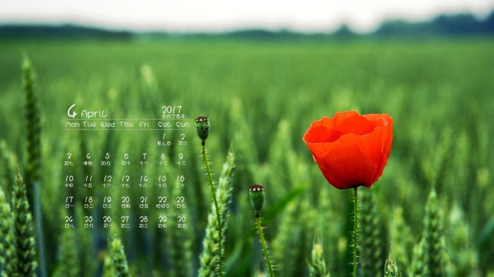 2017年4月唯美的花卉桌面日历壁纸