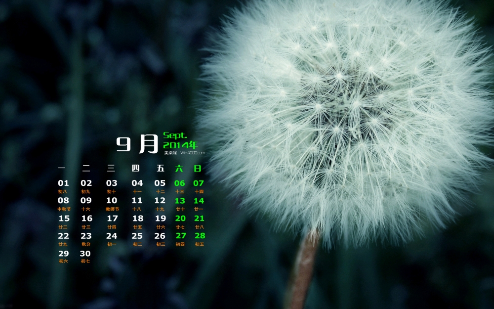 2014年9月日历壁纸唯美好看的秋天植物蒲公英图片下载