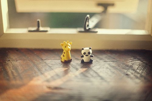 阳光甚好  清新唯美图片