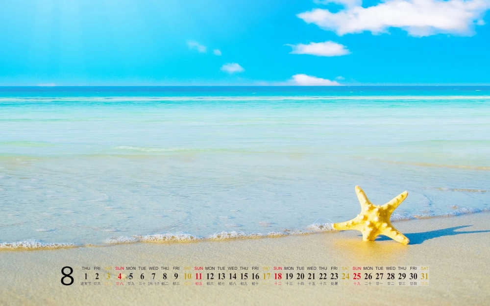 2013年静物唯美8月日历唯美桌面壁纸