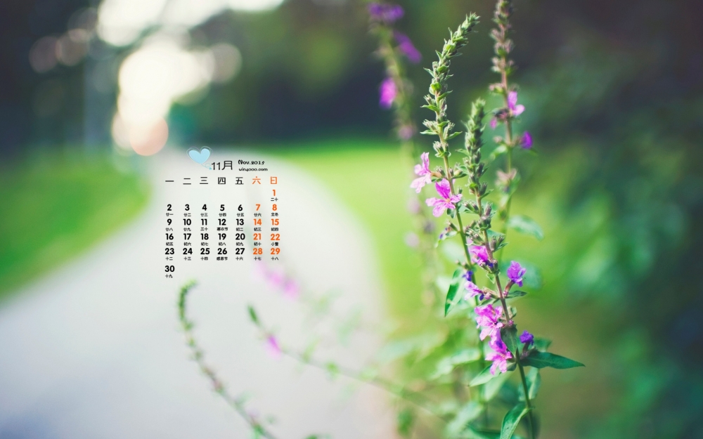 2015年11月日历清新护眼绿色植物桌面壁纸下载3