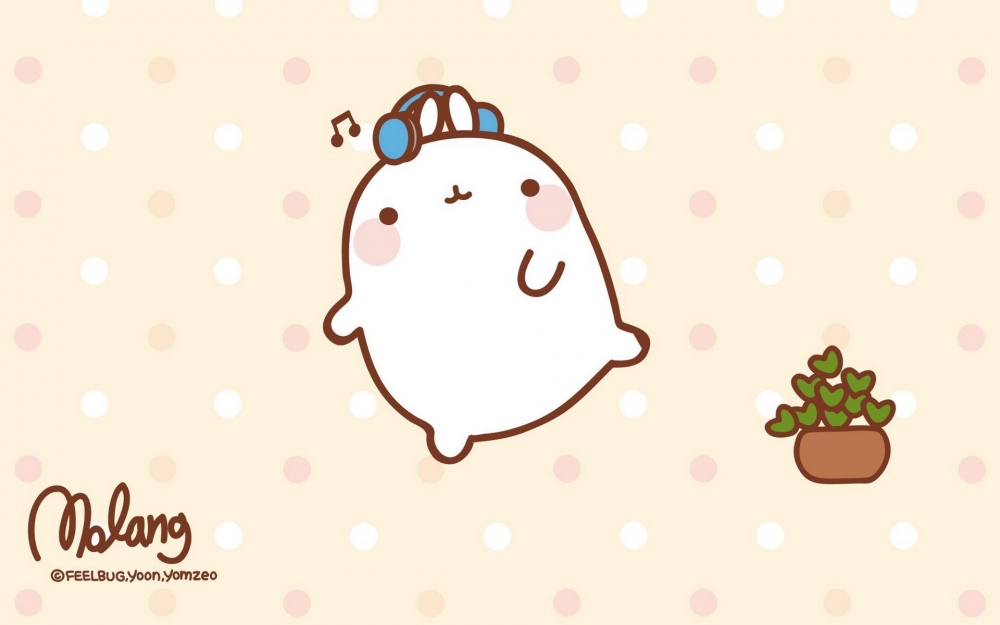 MOLANG 韩国远道而来的可爱的兔子