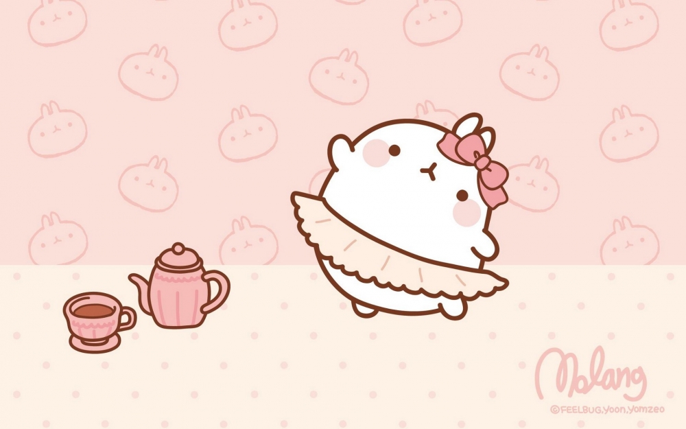 MOLANG 韩国远道而来的可爱的兔子