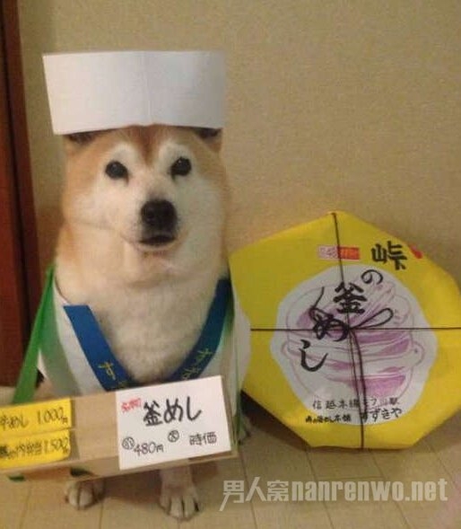从小的泡妞高手 这孩子已经赢在起跑线上了