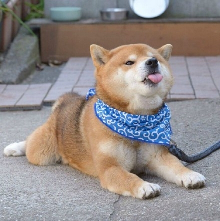 超级可爱的你