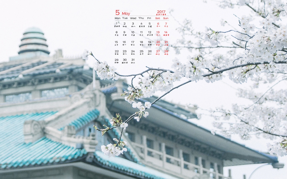 2017年5月樱花风景日历壁纸