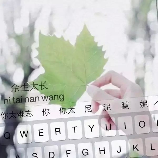 文字体现爱
